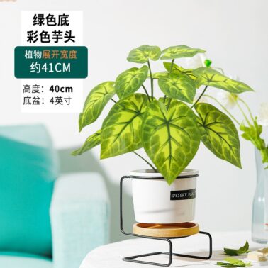 SKU图_40cm A款绿色彩色芋头【带黑色塑料底盆】