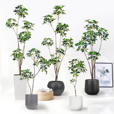 Artificial Schefflera