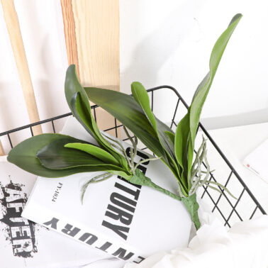 手感兰花叶 蝴蝶兰叶子 仿真植物人造兰花叶中式蝴蝶兰盆栽叶子