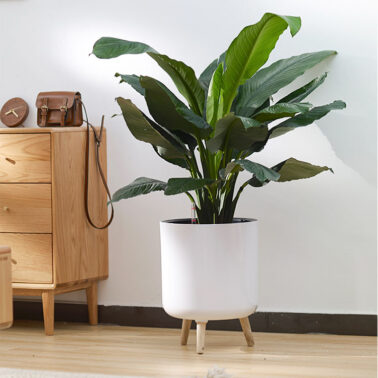 PP paint self-watering flower pot