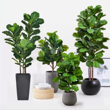 Artificial Fiddle-leaf fig