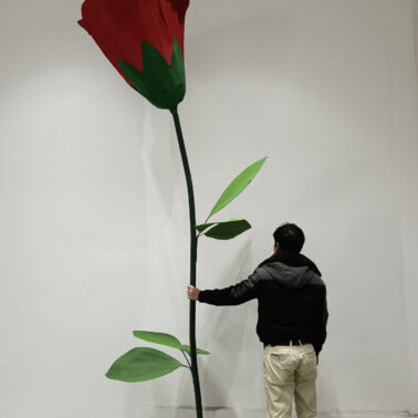 A giant artificial rose