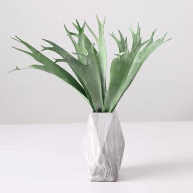 Hot Sales Artificial Green Plant Green Artificial Home Modern Decor Staghorn Orchid