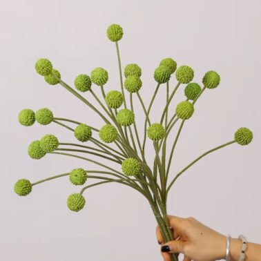 Boho Eternal Craspedia Globosa Benth Yellow Preserved Flower Artificial Billy Ball Dandelion for Home Floral Decoration