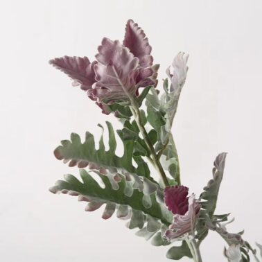 Silver Leaf Chrysanthemum Wholesale High Quality Green Plants Artificial Green Plant