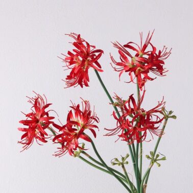 Wholesale Artificial Lycoris Radiata Flowers Faux Flowers Rainlily Wedding Home Decor High Quality Silk Flowers