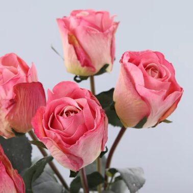 Factory Artificial 7 Head Rose Flower Bouquet Red Roses Artificial Silk Roses Bulk for Wedding Decoration