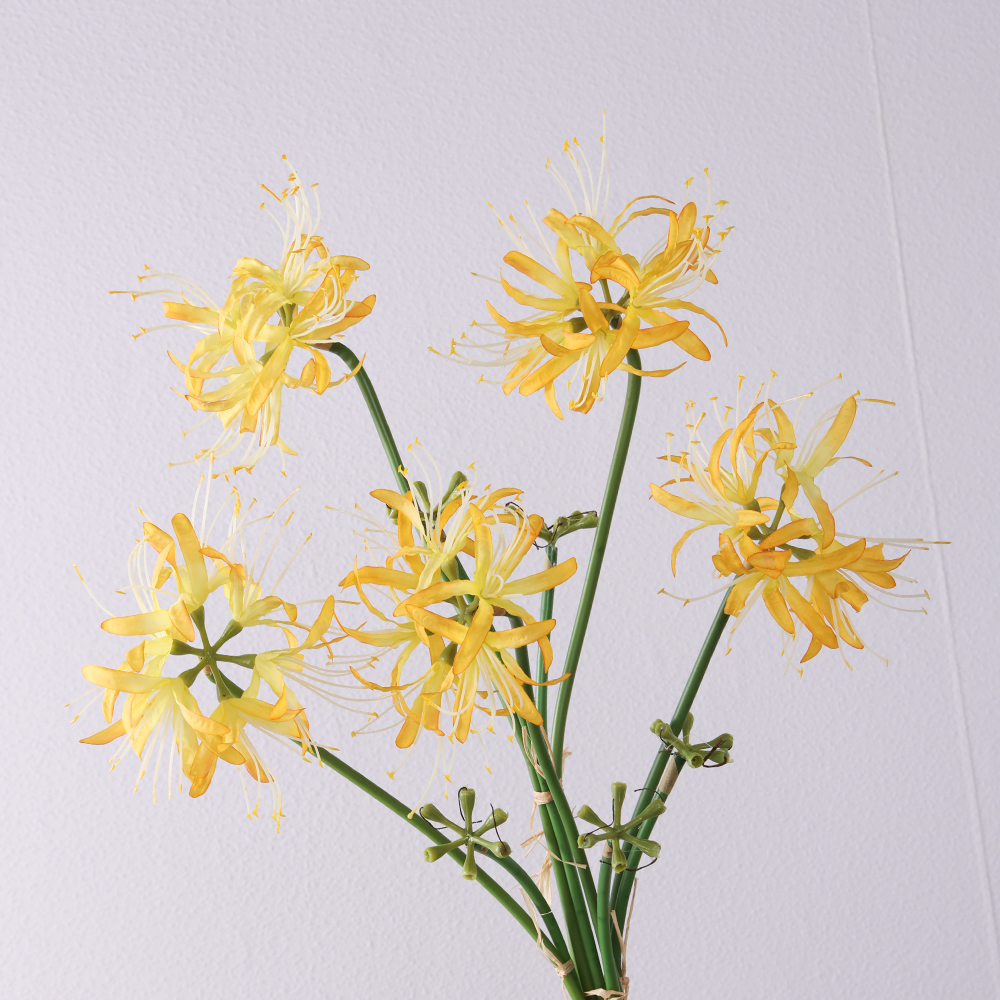 Wholesale Artificial Lycoris Radiata Flowers Faux Flowers Rainlily Wedding Home Decor High Quality Silk Flowers - Image 3