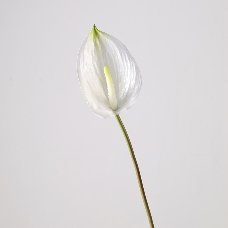 Hot Sale Single Anthurium Stem Artificial Real Touch Anthurium Decorative Flowers for Flower Arrangement - Image 3