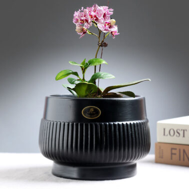 Phalaenopsis ceramic flowerpot