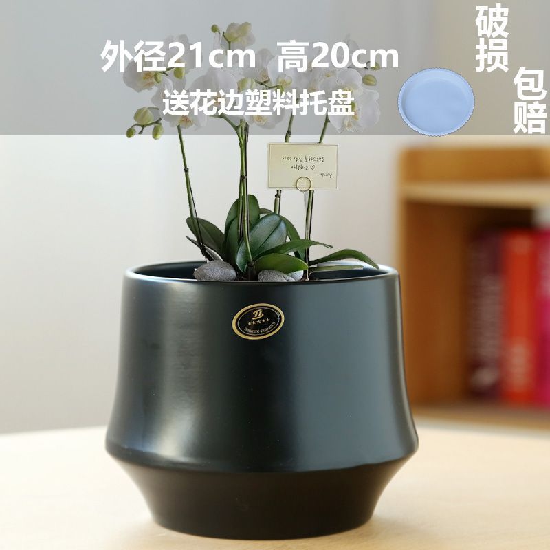 Phalaenopsis ceramic flowerpot - Image 3