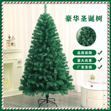 Christmas tree, pine tree